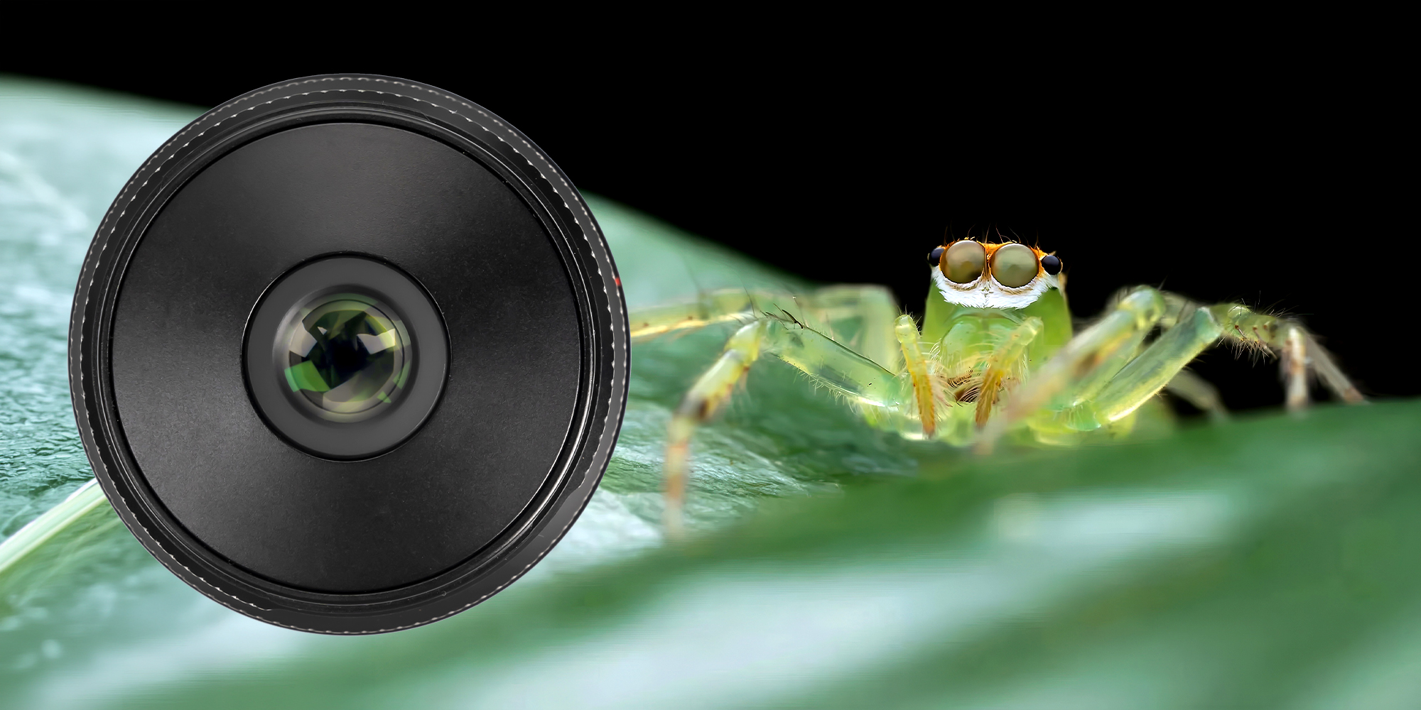 Obiektyw AstrHori MF 25 mm f/2,8 Full-frame Macro do Nikon Z
