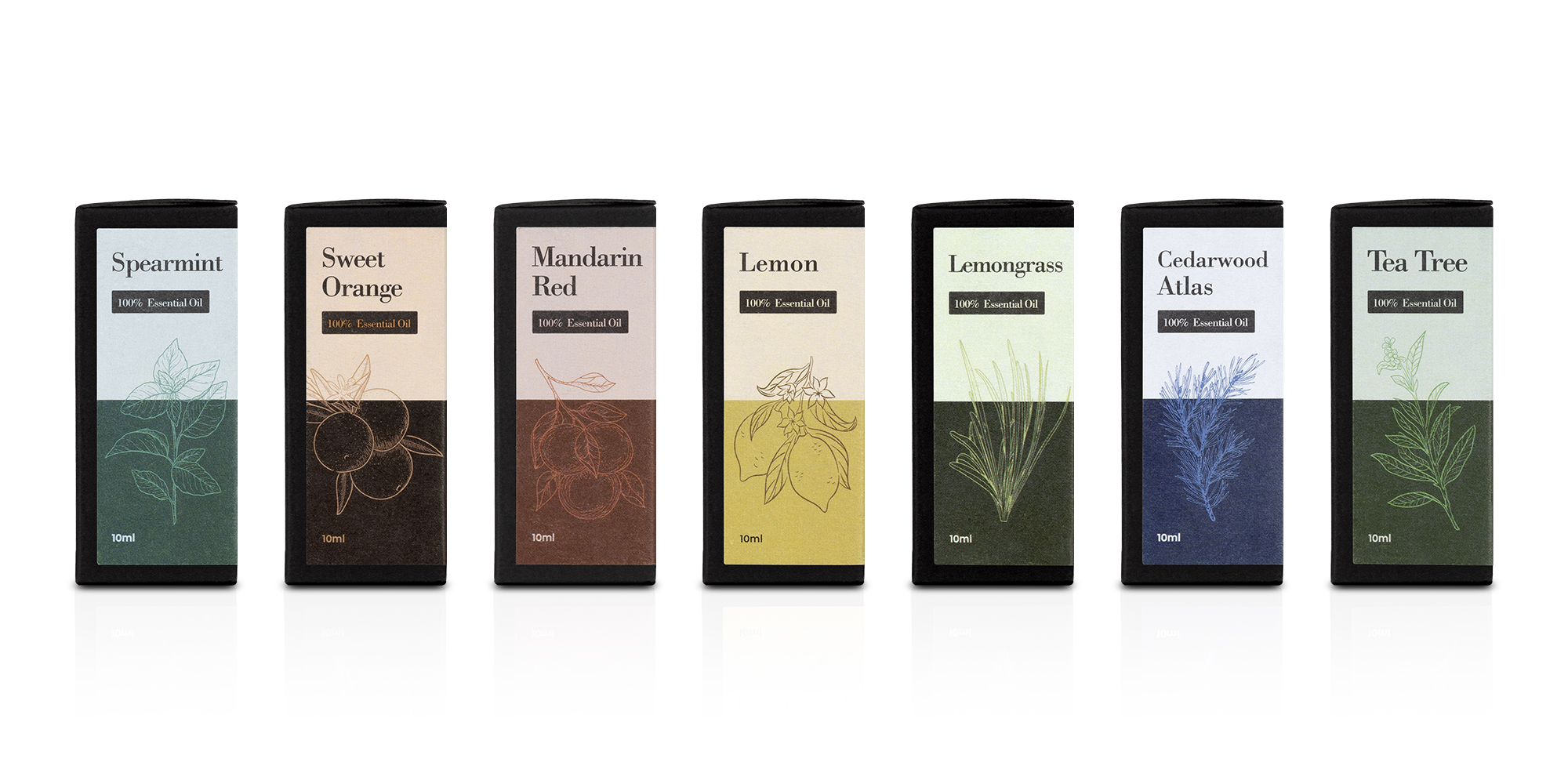 width=100% Olejek eteryczny Humanas Natural Scents 10 ml - cedr