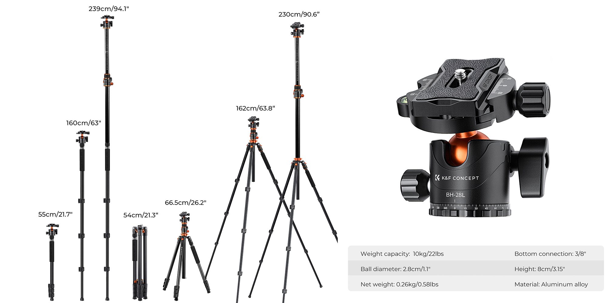 Statyw K&F Concept T254A7 z głowicą kulową BH-28L - 230 cm wysokości roboczej