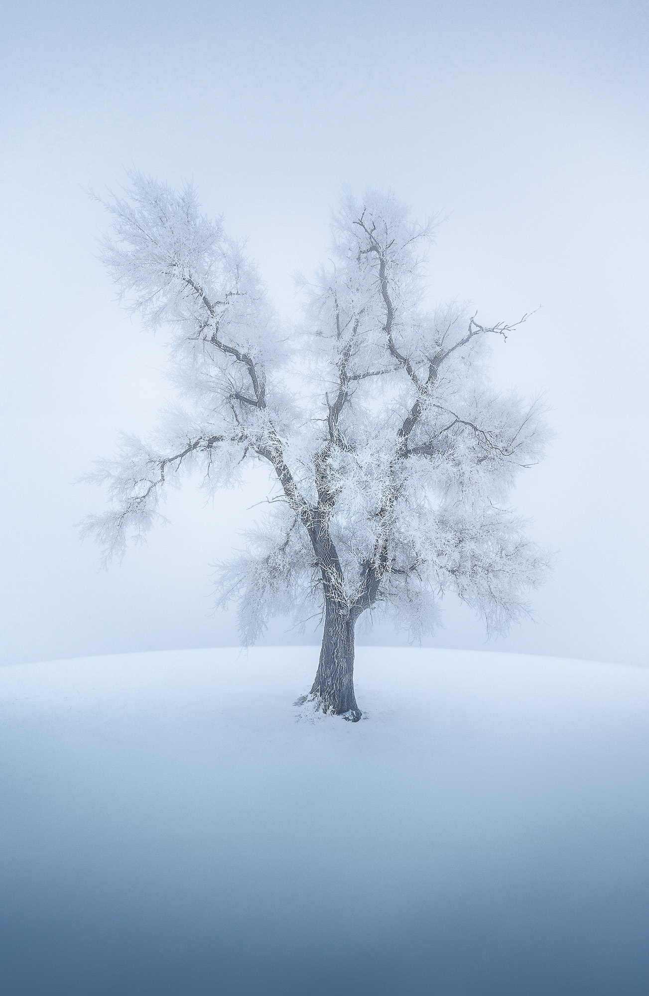 Obiektyw Laowa 10 mm f/2,8 FF II C&D-Dreamer AF do Nikon Z