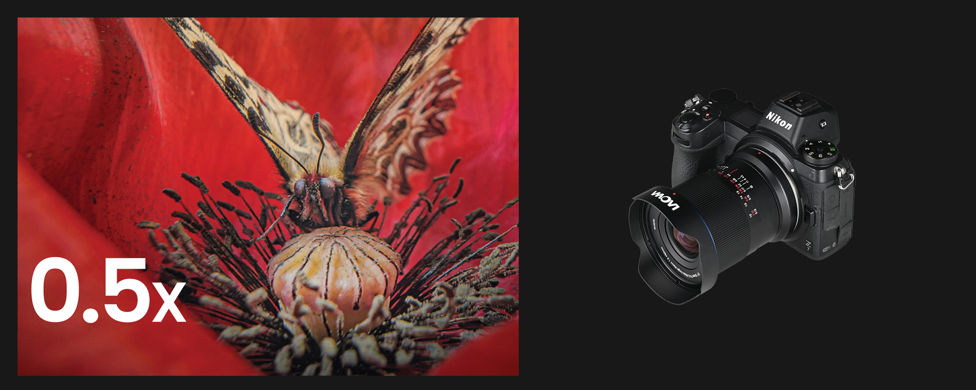Obiektyw Laowa 15 mm f/4,5 0,5x Macro do Nikon Z - zdjęcie produktowe, gdy jest zamocowany na aparacie, obok fotografia owada i kwiatu