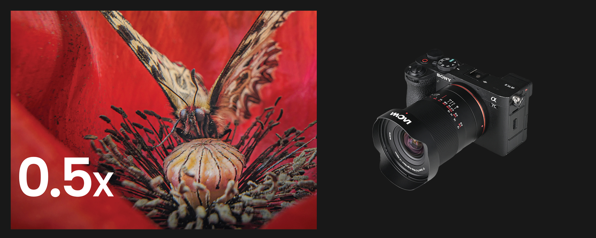 Obiektyw Laowa 15 mm f/4,5 0,5x Macro do Sony E zdjęcie produktowe oraz fotografia owada i kwiatu wykonana za jego pomocą