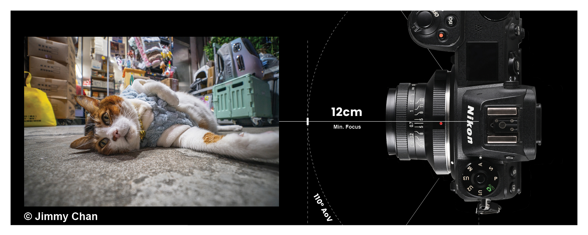 Obiektyw Laowa 15 mm f/5,0 FF Cookie do Nikon Z obok zdjęcia kota