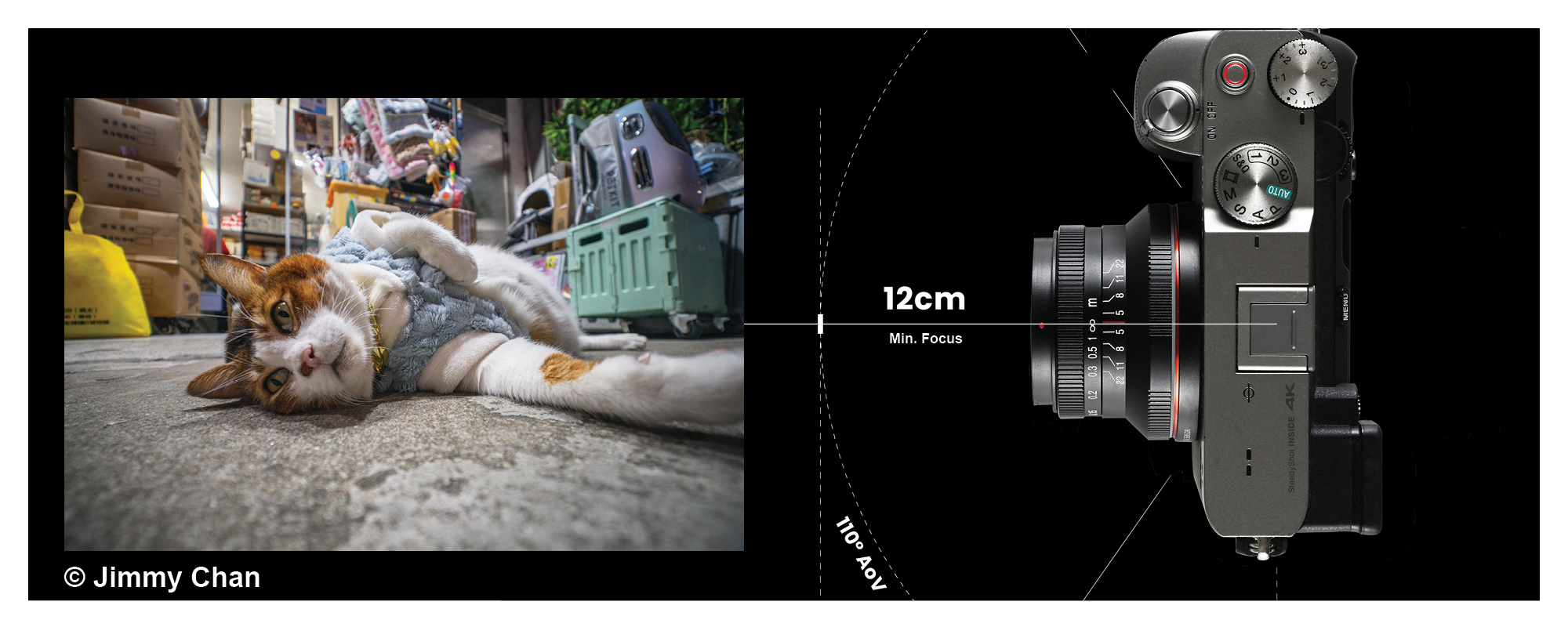 width=100% Obiektyw Laowa 15 mm f/5,0 FF Cookie do Sony E - zdjęcie kota wykonane za pomocą obiektywu
