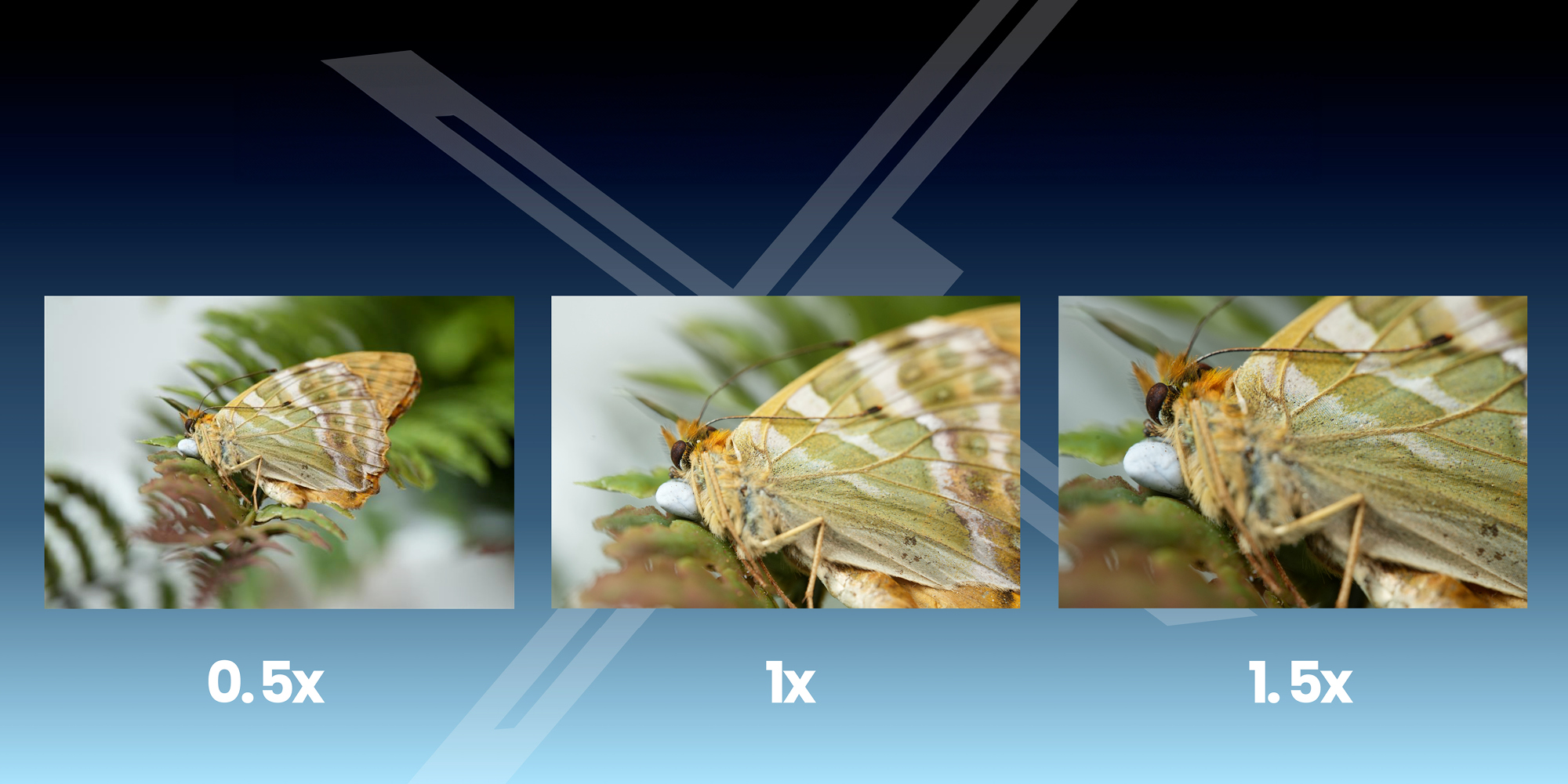 width=100% Obiektyw Laowa 180 mm f/4,5 1,5x Ultra Macro APO AF do Nikon Z