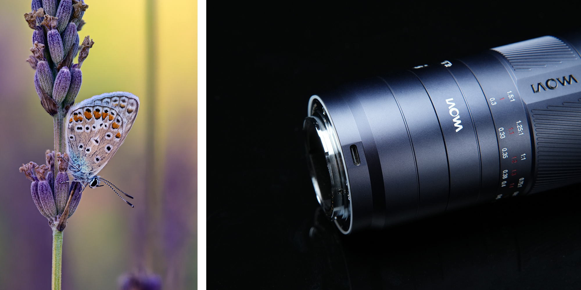 width=100% Obiektyw Laowa 180 mm f/4,5 1,5x Ultra Macro APO AF do Nikon Z