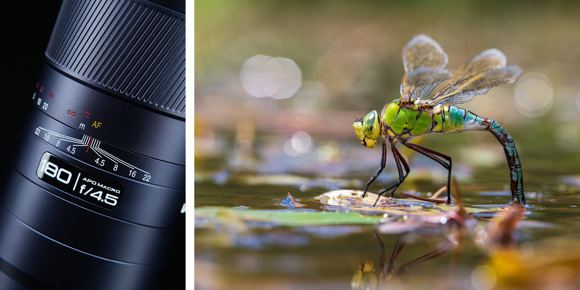 width=100% Obiektyw Laowa 180 mm f/4,5 1,5x Ultra Macro APO AF do Nikon Z