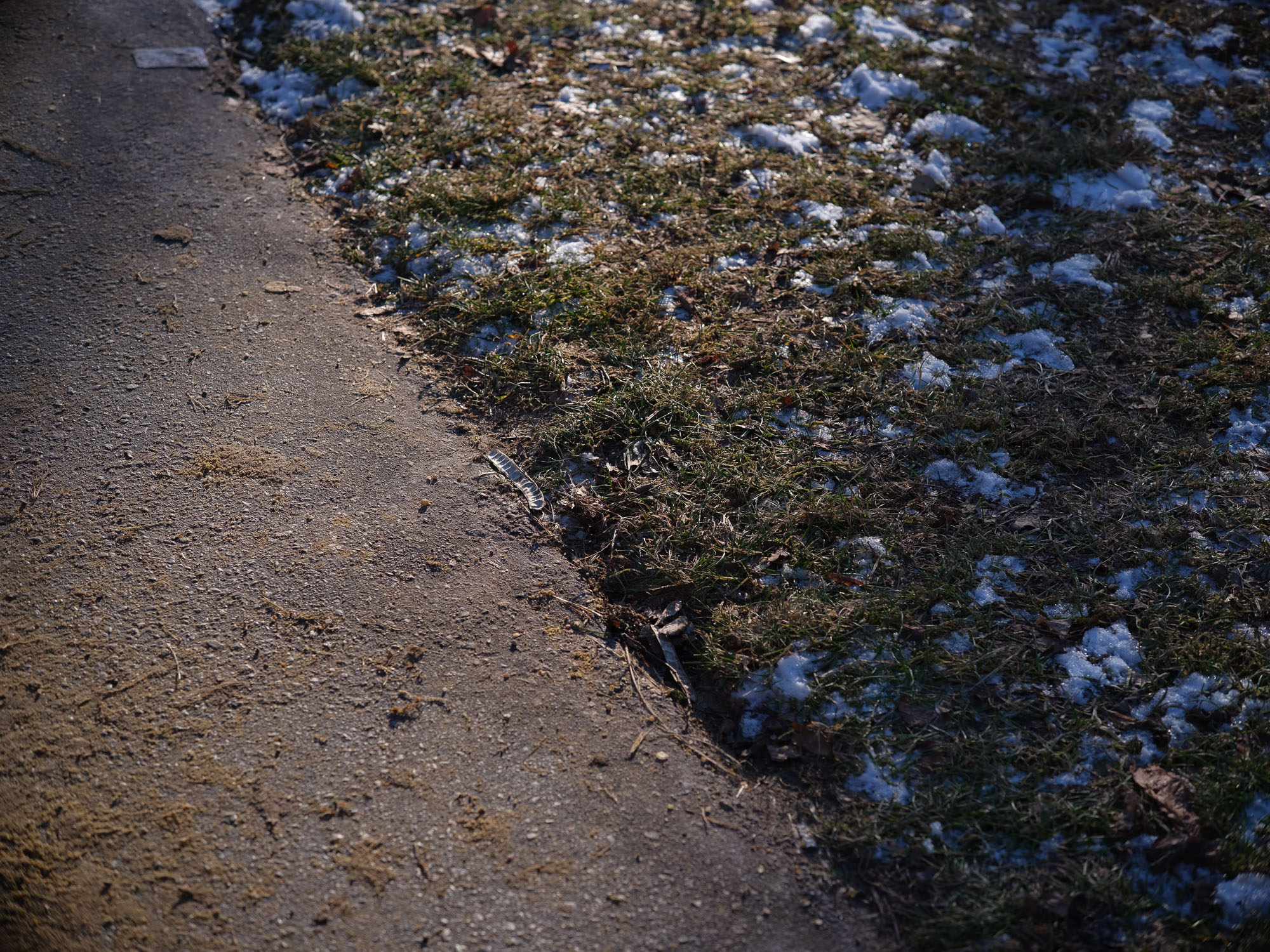 Zdjęcie przykładowe - Obiektyw Voigtlander APO Skopar 90 mm f/2,8 do Leica M na aparacie średnioformatowym