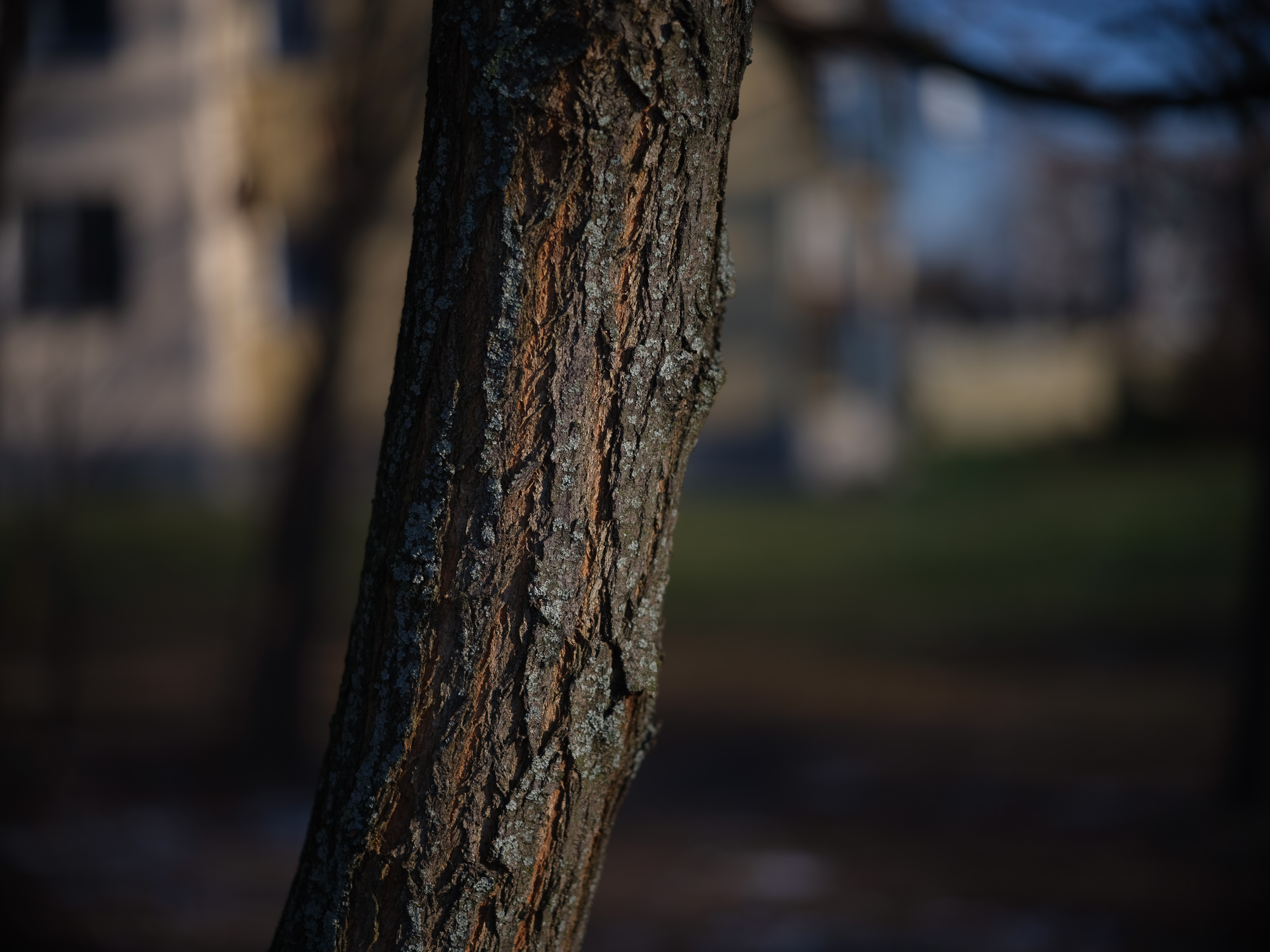 Zdjęcie przykładowe - Obiektyw Voigtlander APO Skopar 90 mm f/2,8 do Leica M na aparacie średnioformatowym