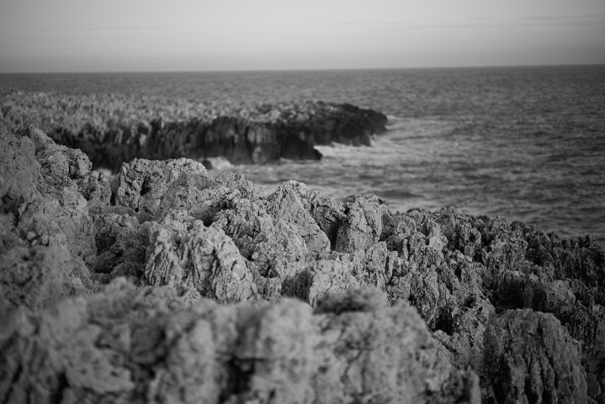 Obiektyw Voigtlander Nokton 75 mm f/1,5 do Leica M - czarny