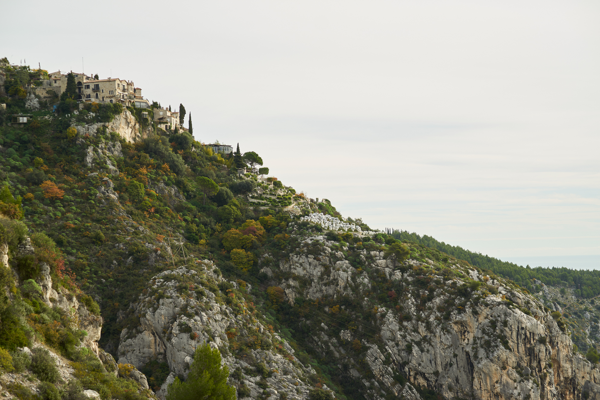 Obiektyw Voigtlander Nokton 75 mm f/1,5 do Leica M - srebrny