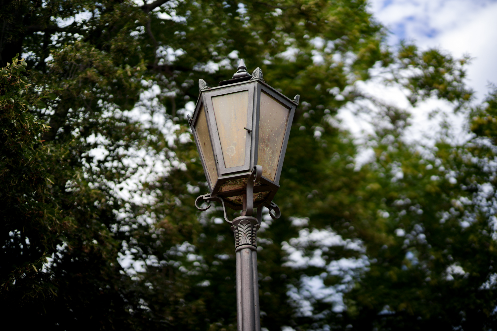 Obiektyw Voigtlander Nokton II 50 mm f/1,2 do Leica M